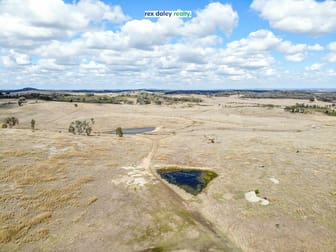 1822 The Pocket Road Pindaroi NSW 2361 - Image 2