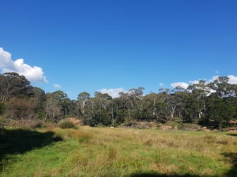 1113 Majors Creek Road Majors Creek NSW 2622 - Image 2