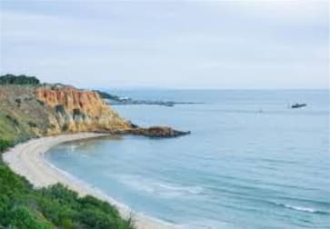 Cafe & Coffee Shop  business for sale in Black Rock - Image 2