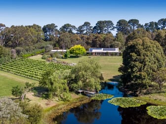 6 Stanleys Road Balnarring VIC 3926 - Image 1