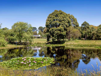 6 Stanleys Road Balnarring VIC 3926 - Image 3