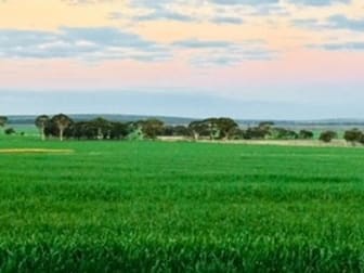 'Kia Ora' Bruce Rock-Quairading Road Quairading WA 6383 - Image 1