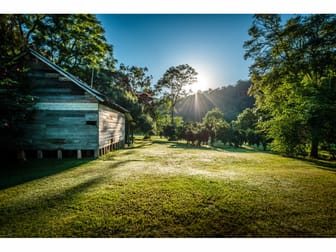 2240 Darkwood Road Bellingen NSW 2454 - Image 2