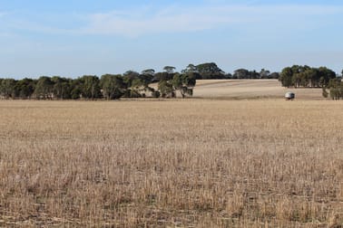 1115 Dickins Road Freshwater Creek VIC 3217 - Image 3