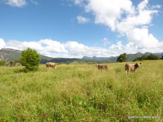Lot 4 Boonah Rathdowney Road Maroon QLD 4310 - Image 2