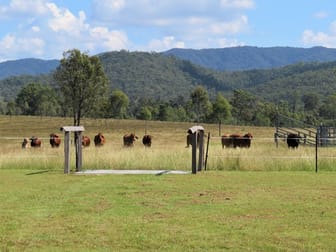 820 Blackman Gap Road Colosseum QLD 4677 - Image 1