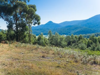 121 The Eagles Nest Road Marysville VIC 3779 - Image 1