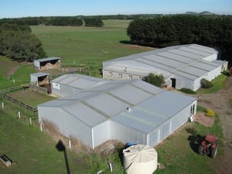 424 Cross Forest Road Camperdown VIC 3260 - Image 1