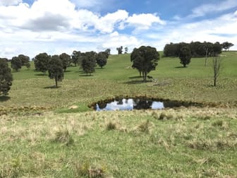 3564 Niangala Walcha NSW 2354 - Image 1