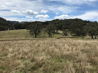 3564 Niangala Walcha NSW 2354 - Image 3