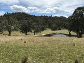 3564 Niangala Walcha NSW 2354 - Image 2