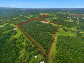 62 Munro Road Dunoon NSW 2480 - Image 2
