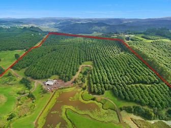 62 Munro Road Dunoon NSW 2480 - Image 3