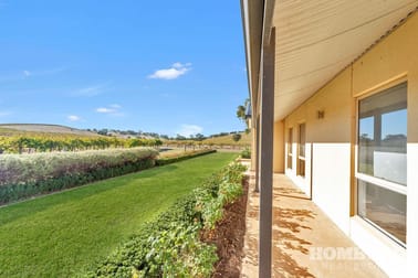 283 Jenke Road Seppeltsfield SA 5355 - Image 3