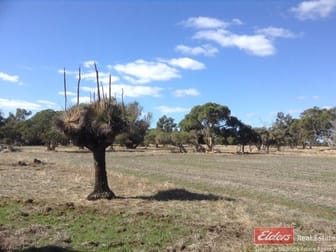 Lot 2002 Tutunup Road Tutunup WA 6280 - Image 1