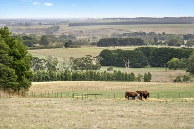 20 Old Lorne Road Deans Marsh VIC 3235 - Image 1