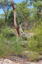 Lot 3 12560 Gwydir Highway Warialda NSW 2402 - Image 1