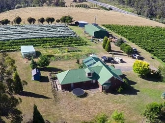 2280 East Tamar Highway Mount Direction TAS 7252 - Image 2