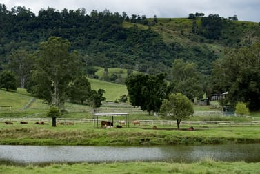 528 Mount Pleasant Road Mount Pleasant QLD 4521 - Image 2