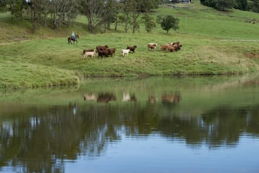 528 Mount Pleasant Road Mount Pleasant QLD 4521 - Image 3