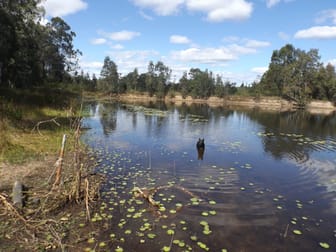 1408 Dyraaba Rd Dyraaba NSW 2470 - Image 3