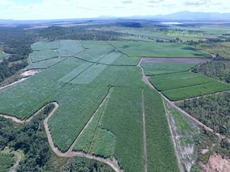 1426 Kelsey Creek Rd Proserpine QLD 4800 - Image 3