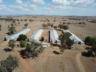 244 - 346 Gidley Siding Road Tamworth NSW 2340 - Image 1