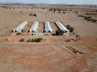 244 - 346 Gidley Siding Road Tamworth NSW 2340 - Image 2