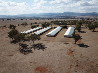 244 - 346 Gidley Siding Road Tamworth NSW 2340 - Image 3