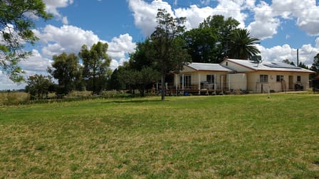 1748 MOLLYAN ROAD Mendooran NSW 2842 - Image 1