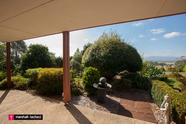 146 Coolagolite Road Coolagolite NSW 2550 - Image 3