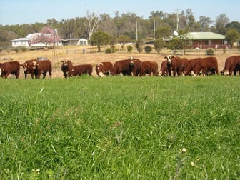 1605 Sextonville Rd Dobies Bight NSW 2470 - Image 1