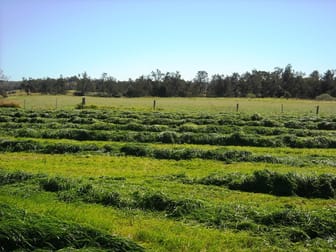 1605 Sextonville Rd Dobies Bight NSW 2470 - Image 3