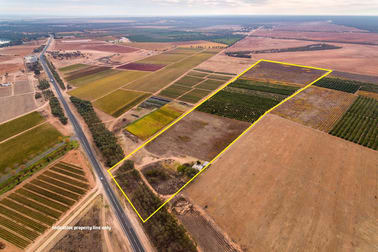 6526 Sturt Highway Trentham Cliffs NSW 2738 - Image 2