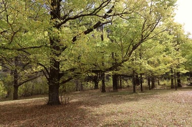 Click to view all images 1757 Goobarragandra Road Tumut NSW 2720 - Image 3