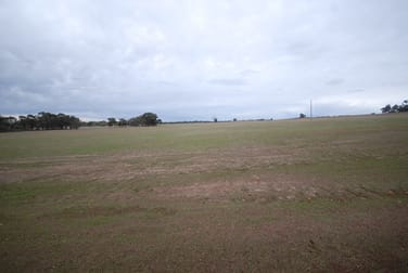 Lot 5019 York-Williams Rd Pumphreys Bridge WA 6308 - Image 3