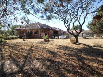 456 Mount Lindesay Road Tenterfield NSW 2372 - Image 2