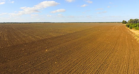 Meandarra QLD 4422 - Image 2