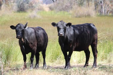 20 Walker Lane Barham NSW 2732 - Image 2