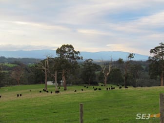 244 Dawsons Track Nilma North VIC 3821 - Image 2