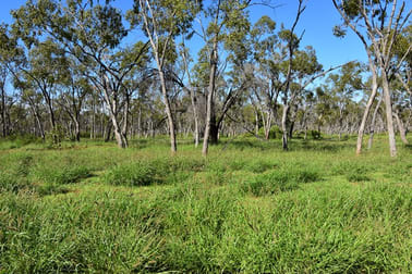 Landsborough Highway Barcaldine QLD 4725 - Image 3