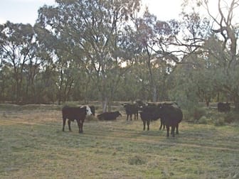 Corner of Jimaringle & Barham-Moulamein Rd Barham NSW 2732 - Image 1