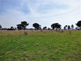 Appletrees Cootamundra NSW 2590 - Image 2