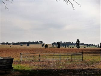Appletrees Cootamundra NSW 2590 - Image 3