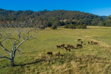 301 Gum Scrub ROad Gum Scrub NSW 2441 - Image 1