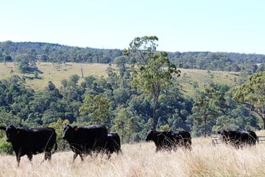 390 Pohlmans Range Road Scrub Creek QLD 4313 - Image 2