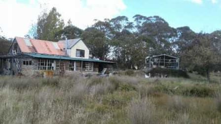 87 HIGGINS ROAD Nimmitabel NSW 2631 - Image 2