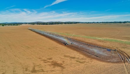 Riverview Narromine Road Dubbo NSW 2830 - Image 1