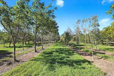 190 McGilchrist Road Palmwoods QLD 4555 - Image 1