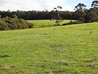 475 Davis Road Witchcliffe WA 6286 - Image 3